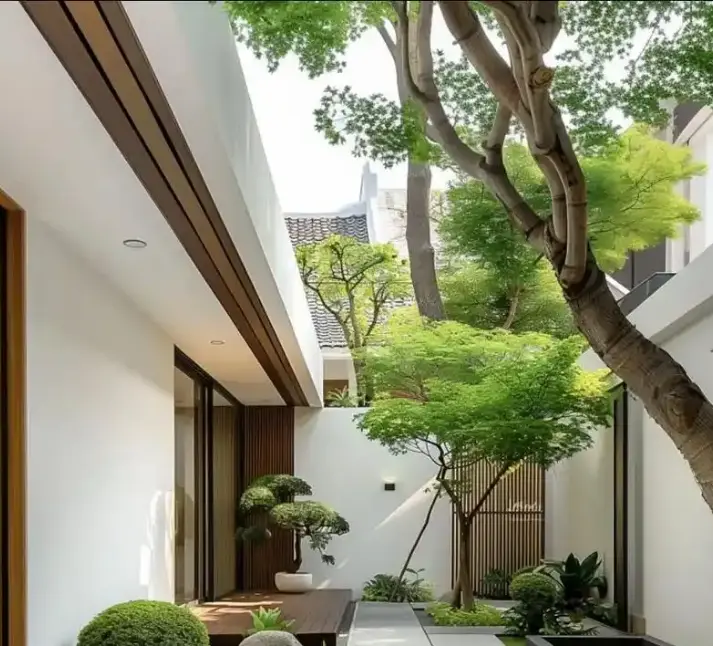 铅笔柏是什么科植物-常见问题(铅笔柏属于哪个科?常见疑问解答) 铅笔柏是什么科植物-常见问题(铅笔柏属于哪个科?常见疑问解答)