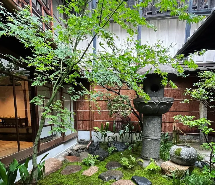 边坡绿化用什么草籽品种(选择合适草籽品种,提高边坡绿化效果)
