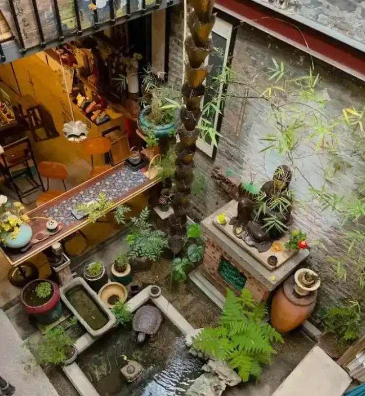 桂花产地在中国哪里(中国何地乌木花主要产地在何处) 桂花产地在中国哪里(中国何地乌木花主要产地在何处)